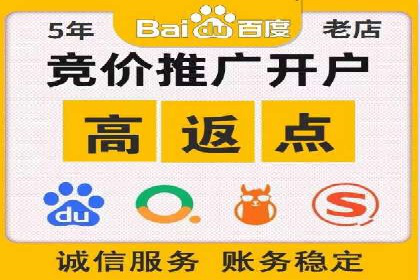 谷歌SEM广告投放的ROI优化：一家科技公司的成功经验